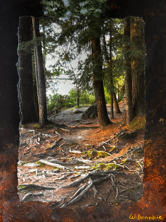 Forest Sanctuary