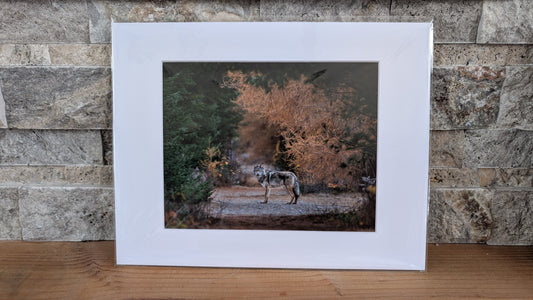 Ghost in the Golden Needles