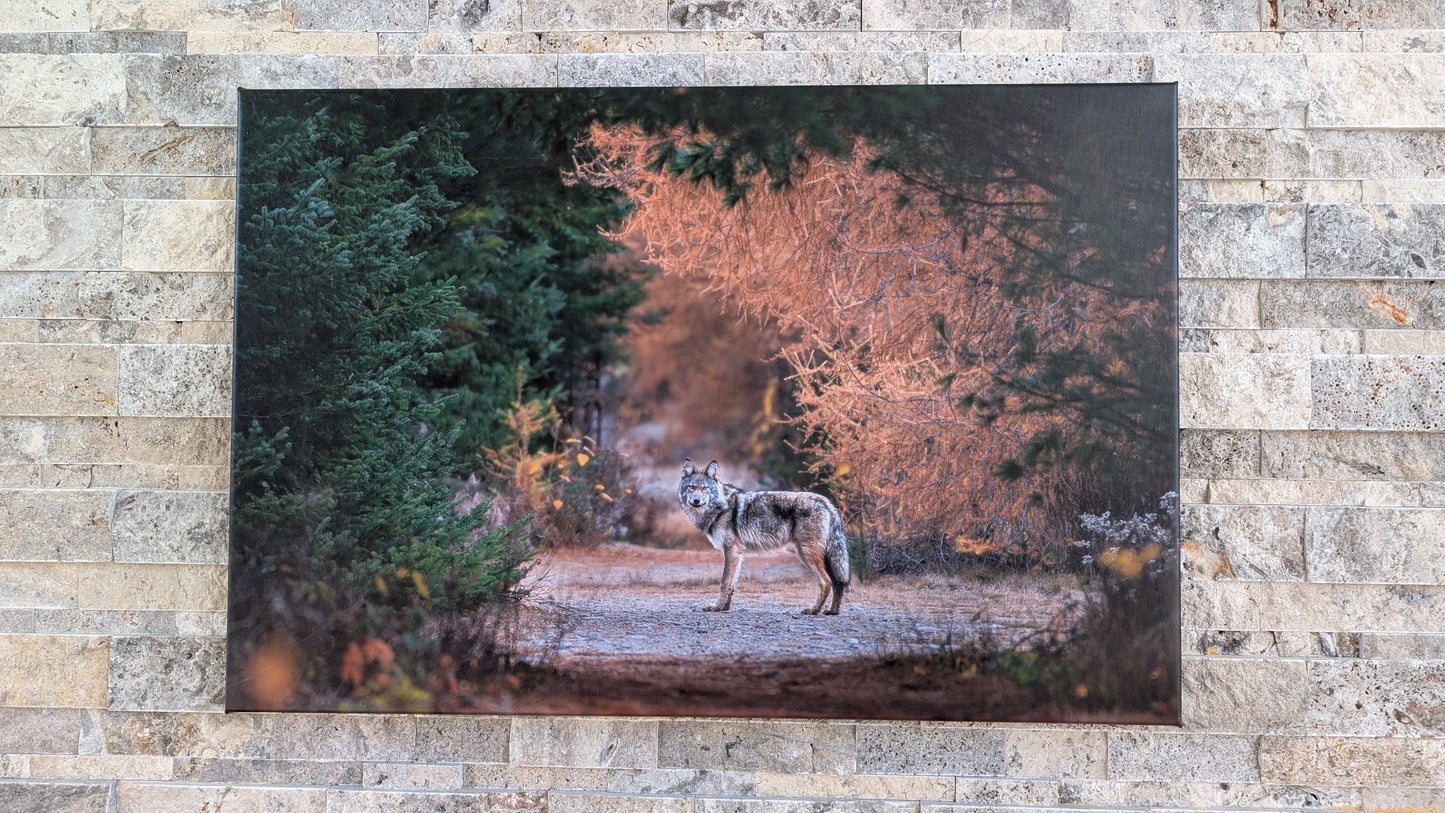Ghost in the Golden Needles