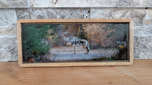 Ghost in the Golden Needles