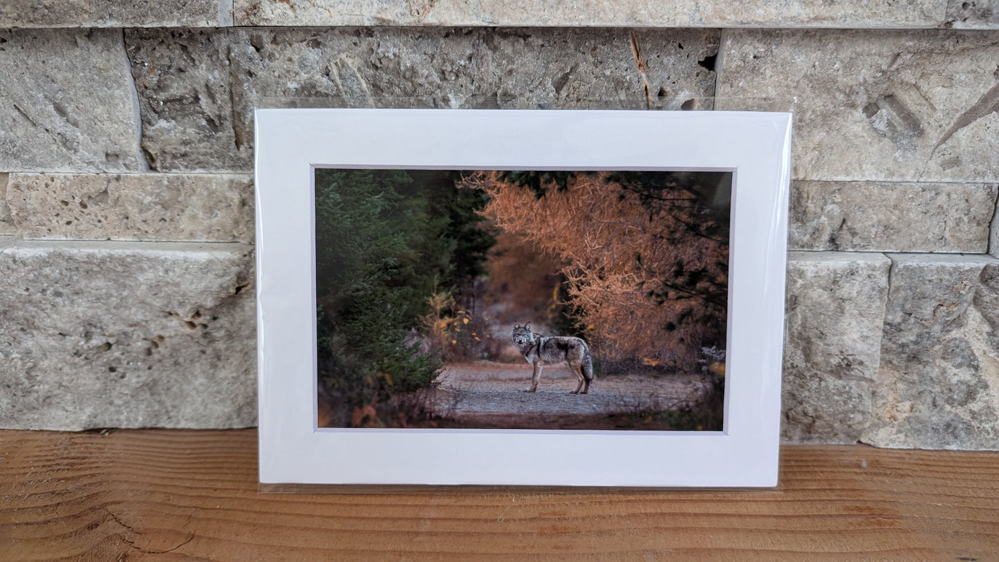 Ghost in the Golden Needles