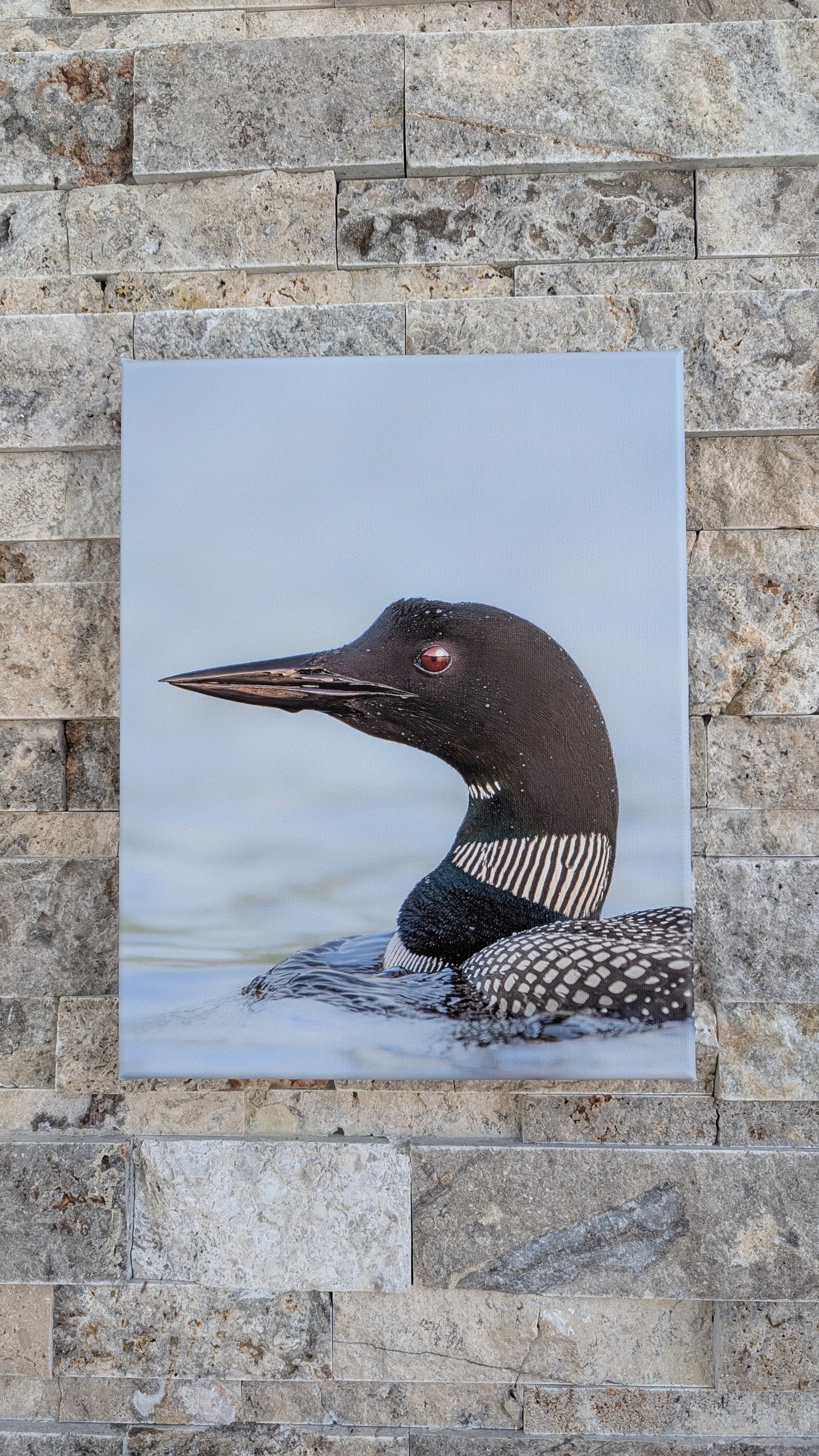 Gliding Through Glass