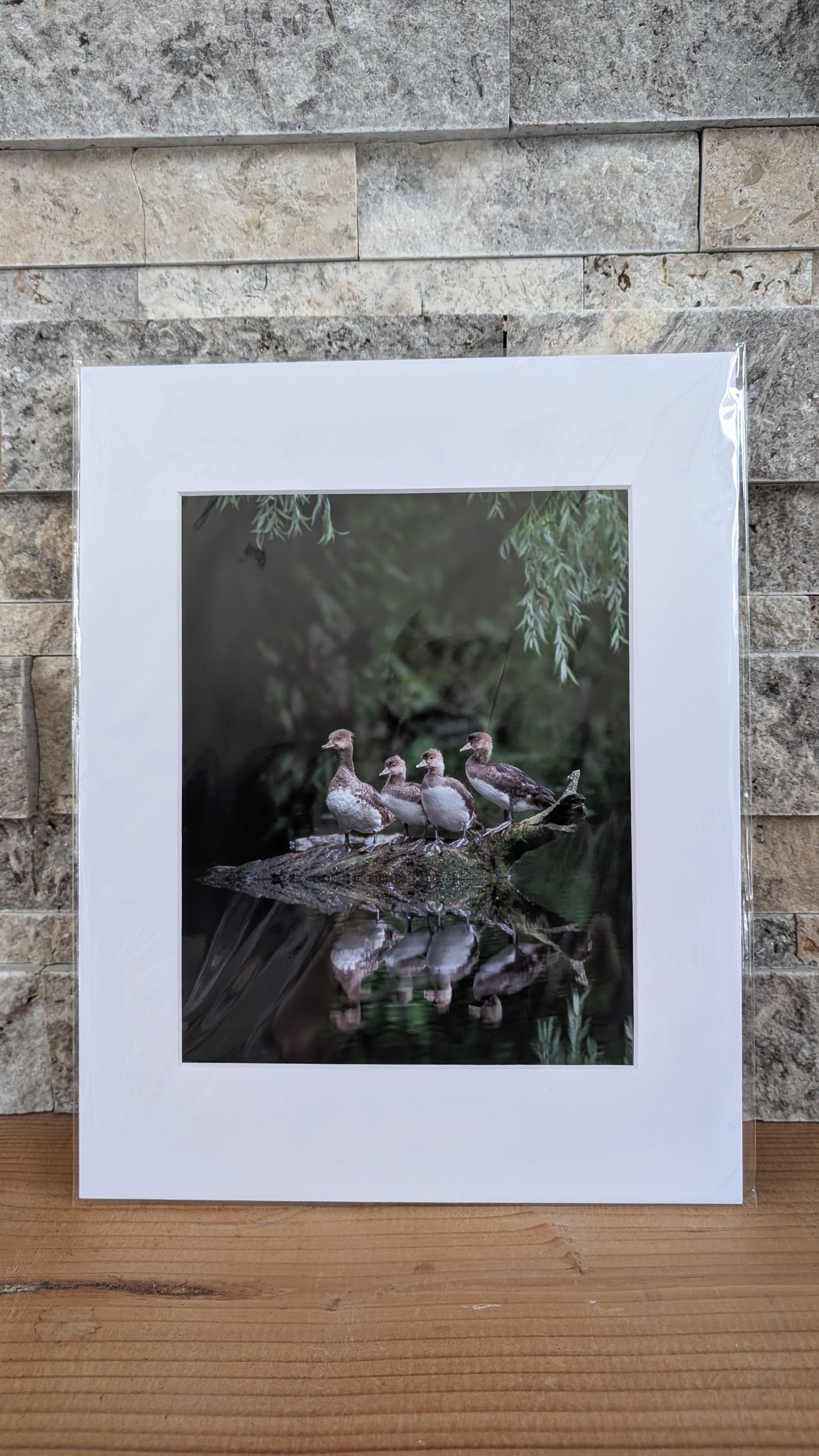 Got My Ducks in a Row