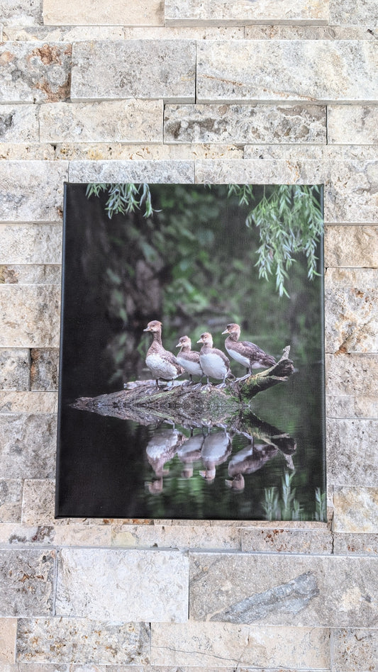 Got My Ducks in a Row