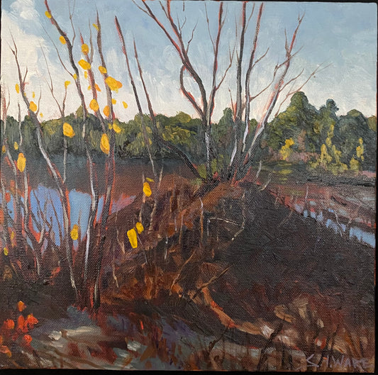 Hardy Lake Trails