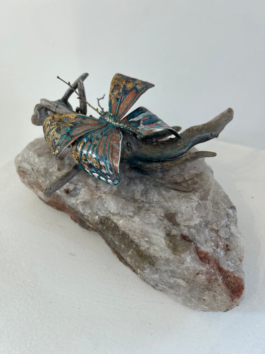 Butterfly Bird by Col Mitchell