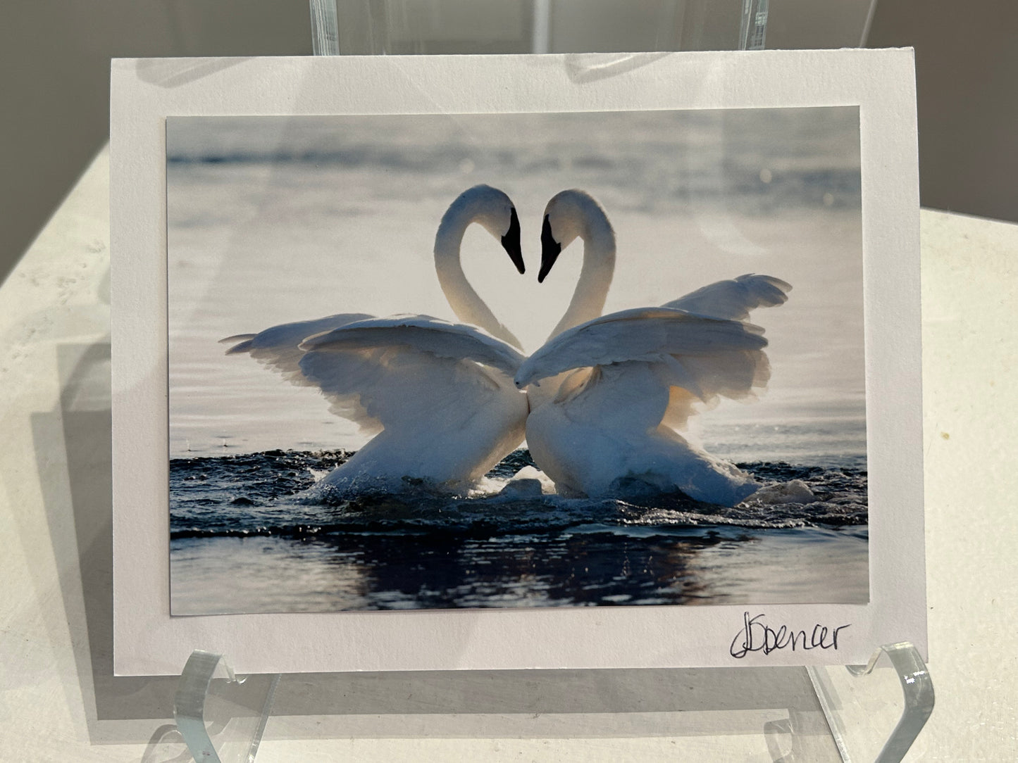 Photo Card by Jane Spencer