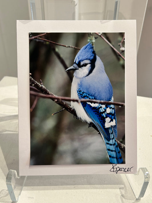 Photo Card by Jane Spencer