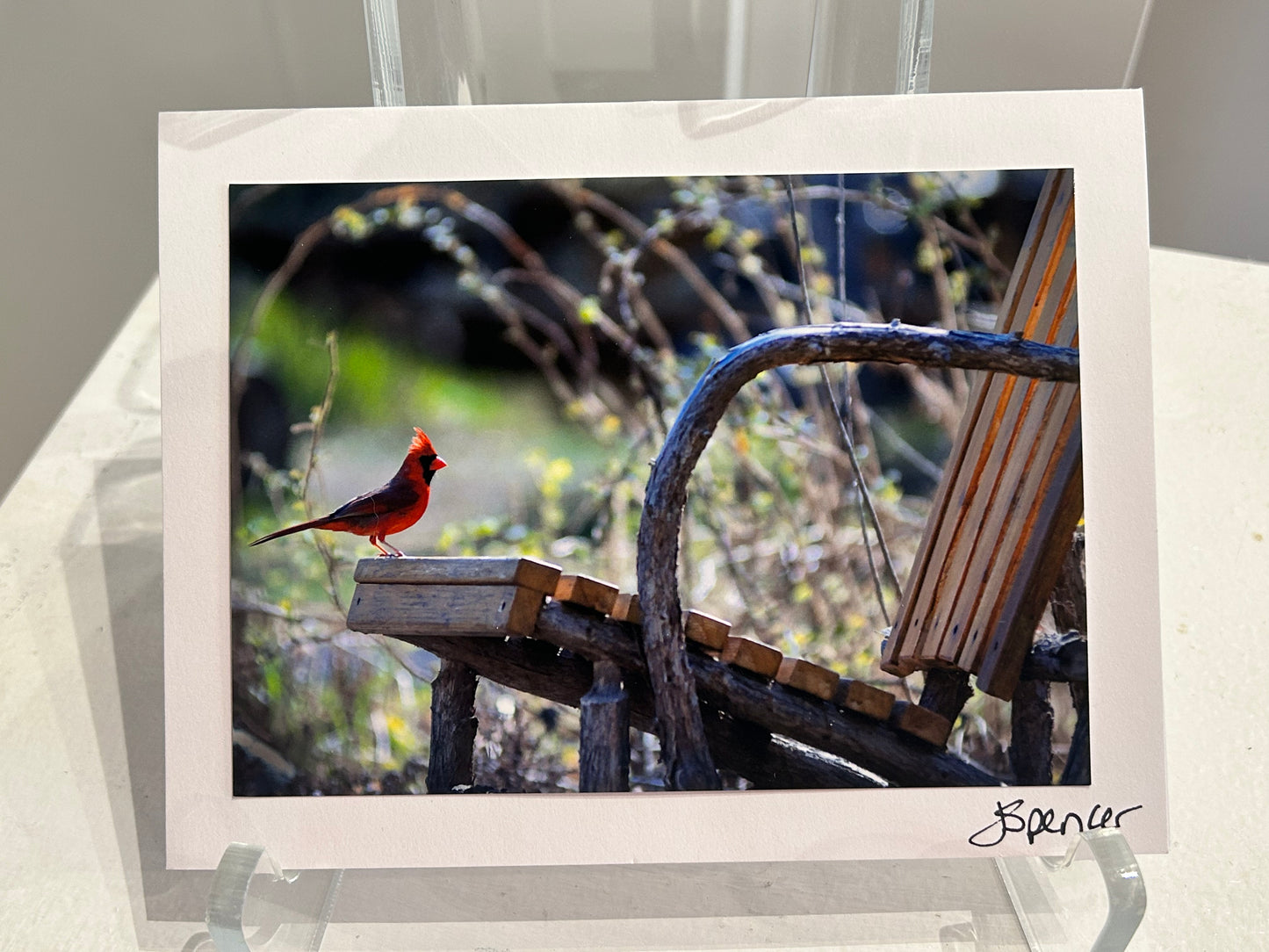 Photo Card by Jane Spencer