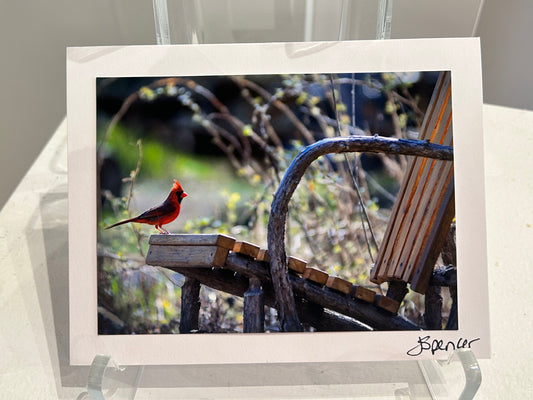 Photo Card by Jane Spencer
