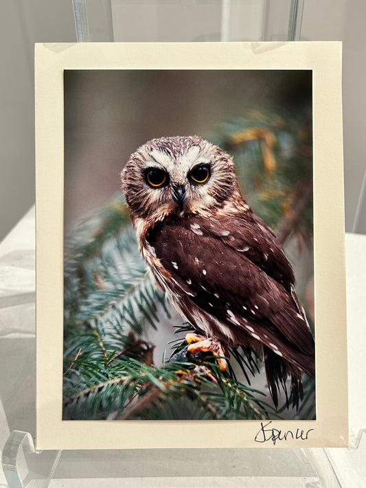 Photo Card by Jane Spencer