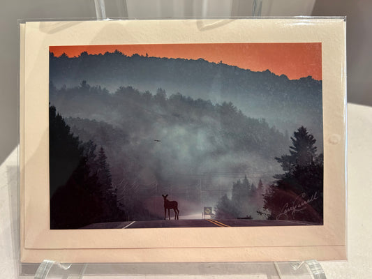 Photo Card by Larry Carroll