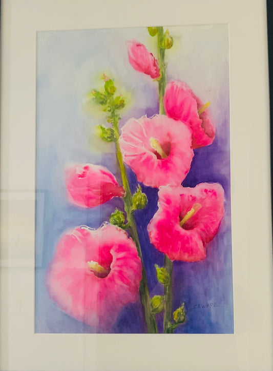 Hollyhock