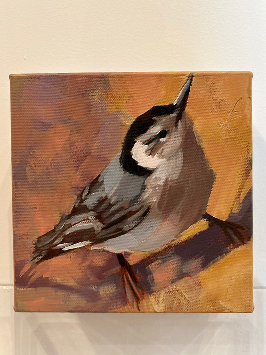 Nuthatch