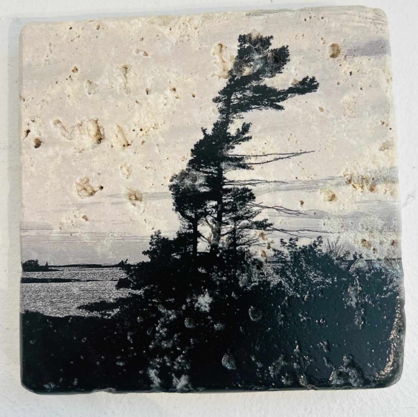 Muskoka Themed Custom Coasters