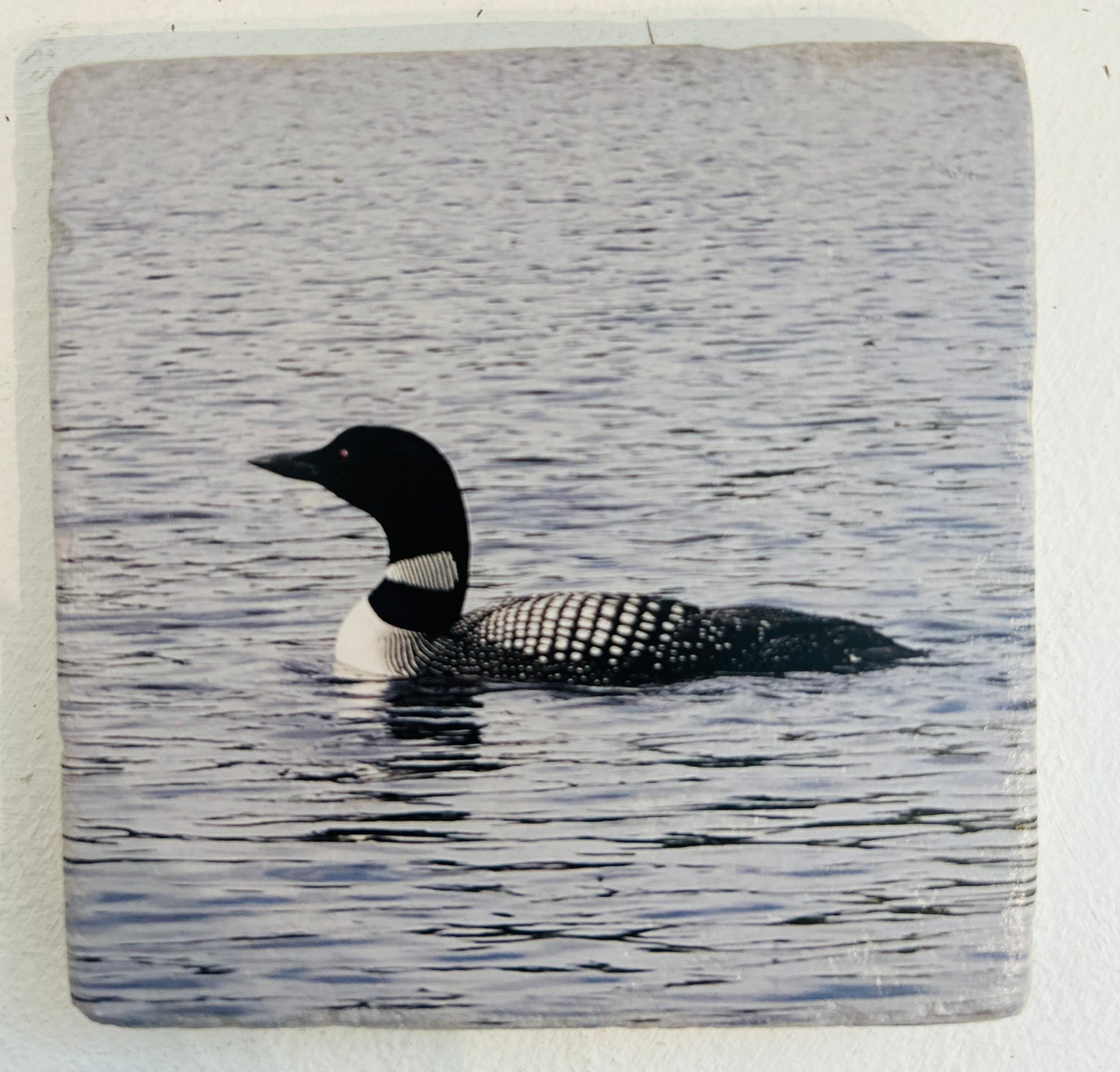 Muskoka Themed Custom Coasters
