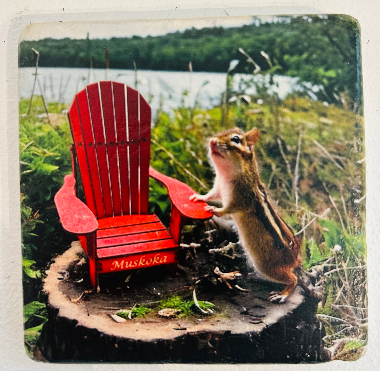Muskoka Themed Custom Coasters