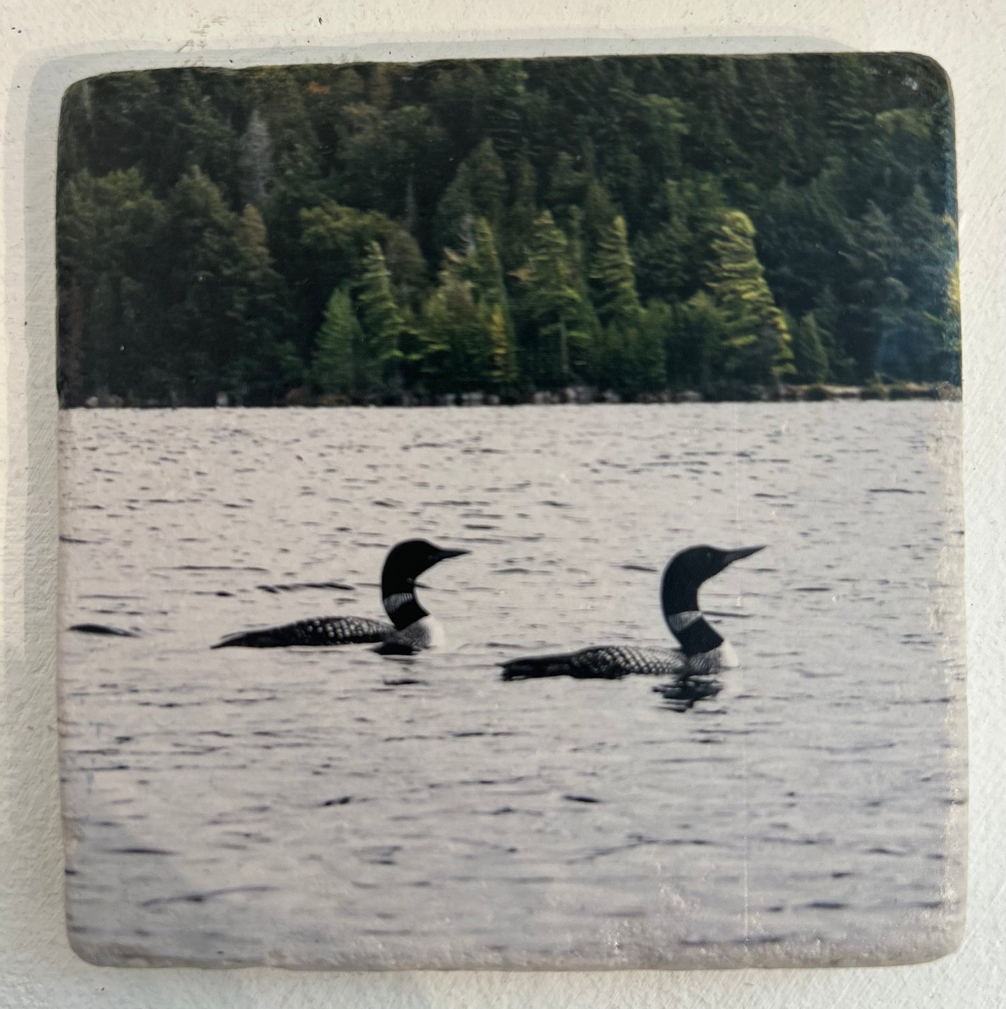 Muskoka Themed Custom Coasters