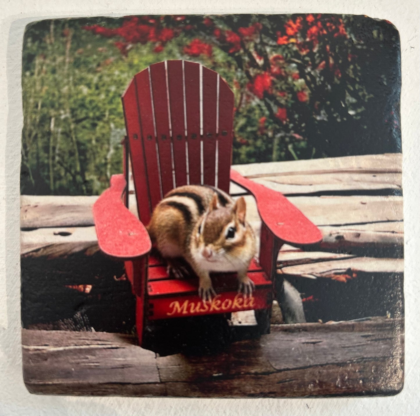 Muskoka Themed Custom Coasters