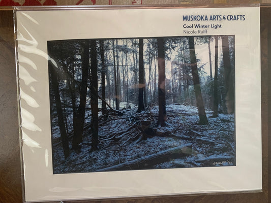 Cool Winter Light