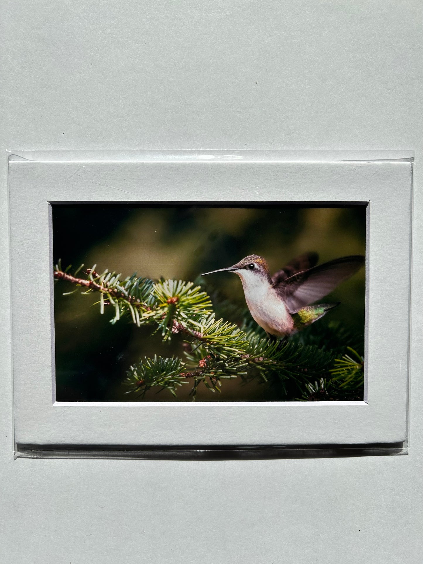 Lauren Todd Mini Prints
