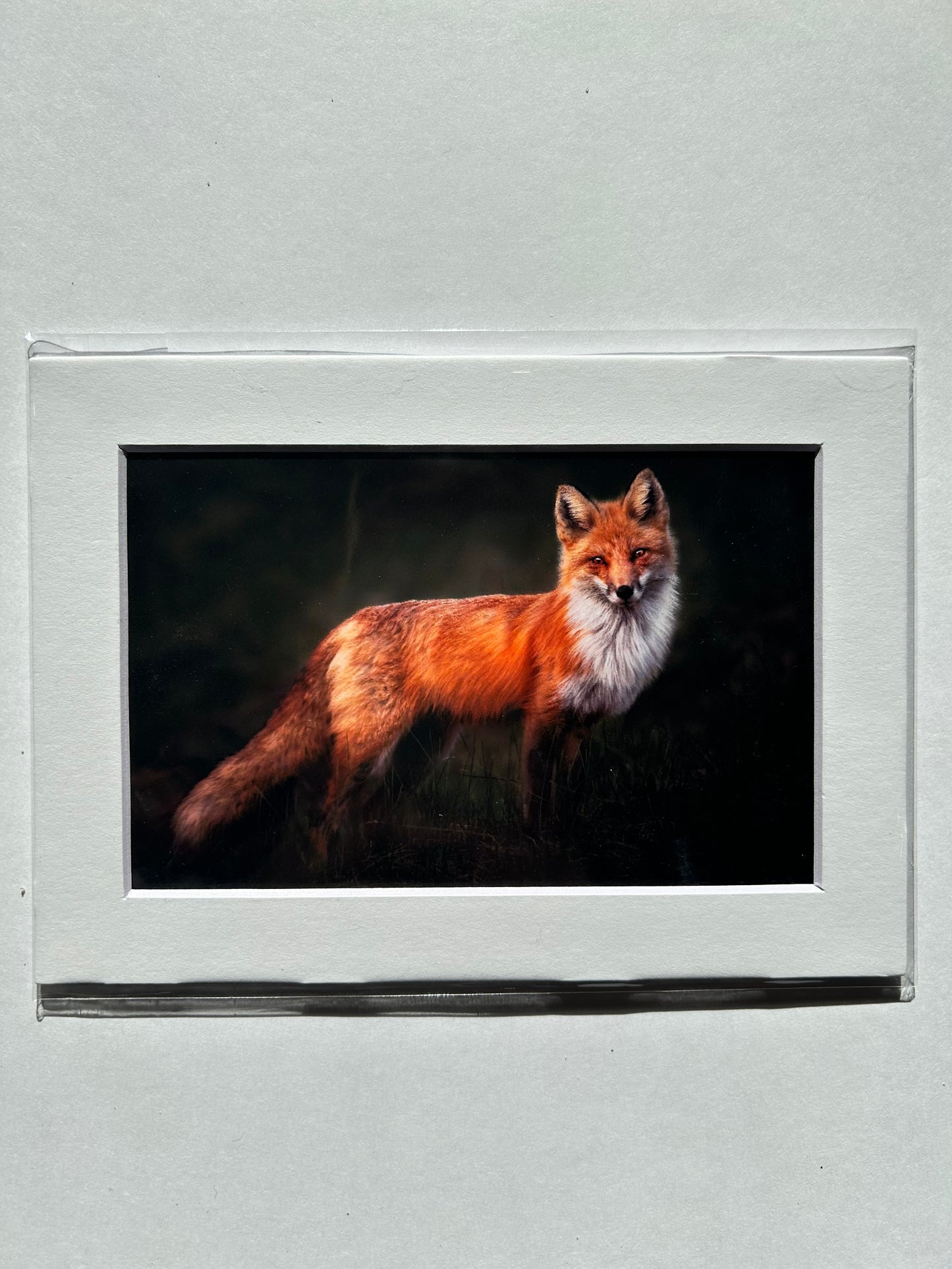 Lauren Todd Mini Prints