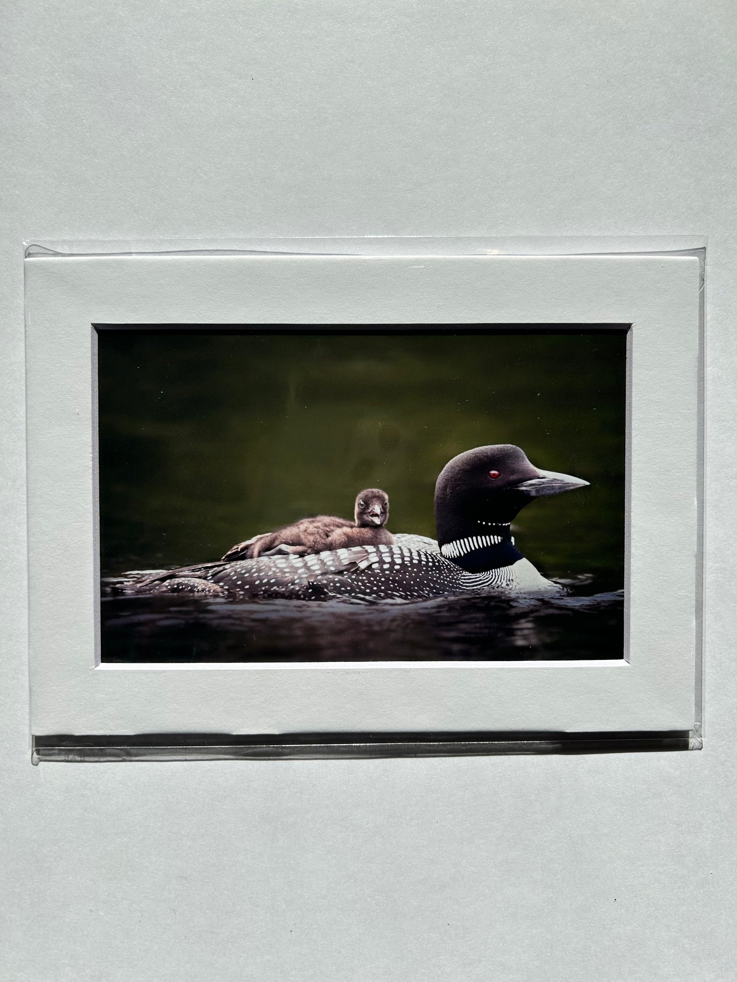 Lauren Todd Mini Prints