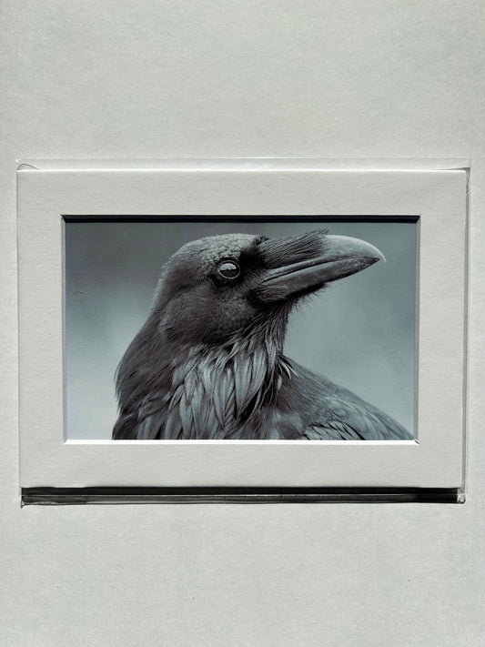 Lauren Todd Mini Prints