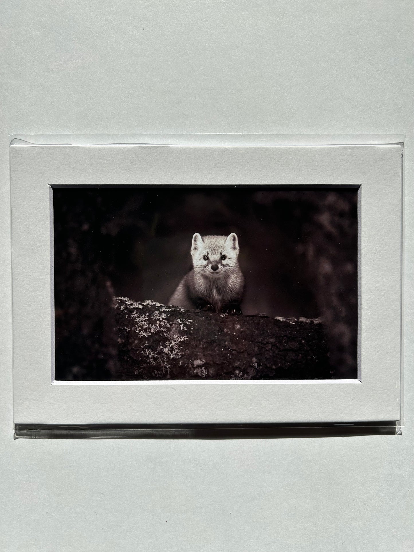 Lauren Todd Mini Prints