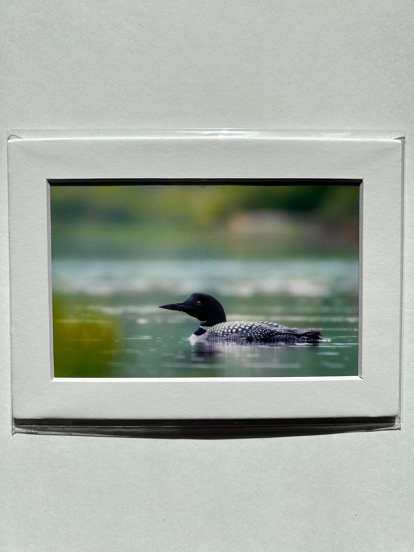 Lauren Todd Mini Prints