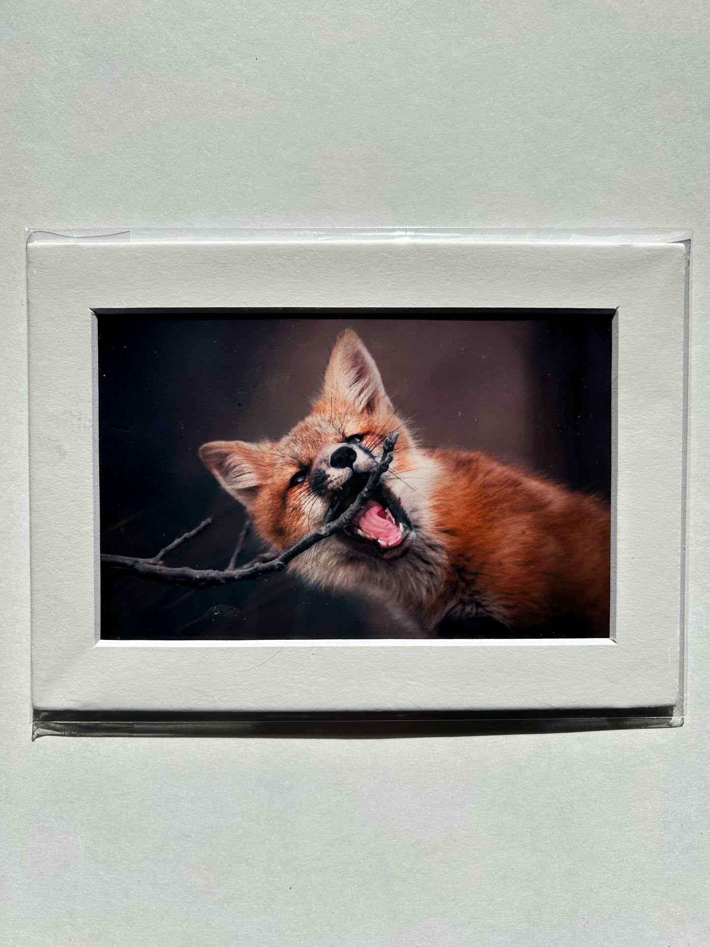 Lauren Todd Mini Prints
