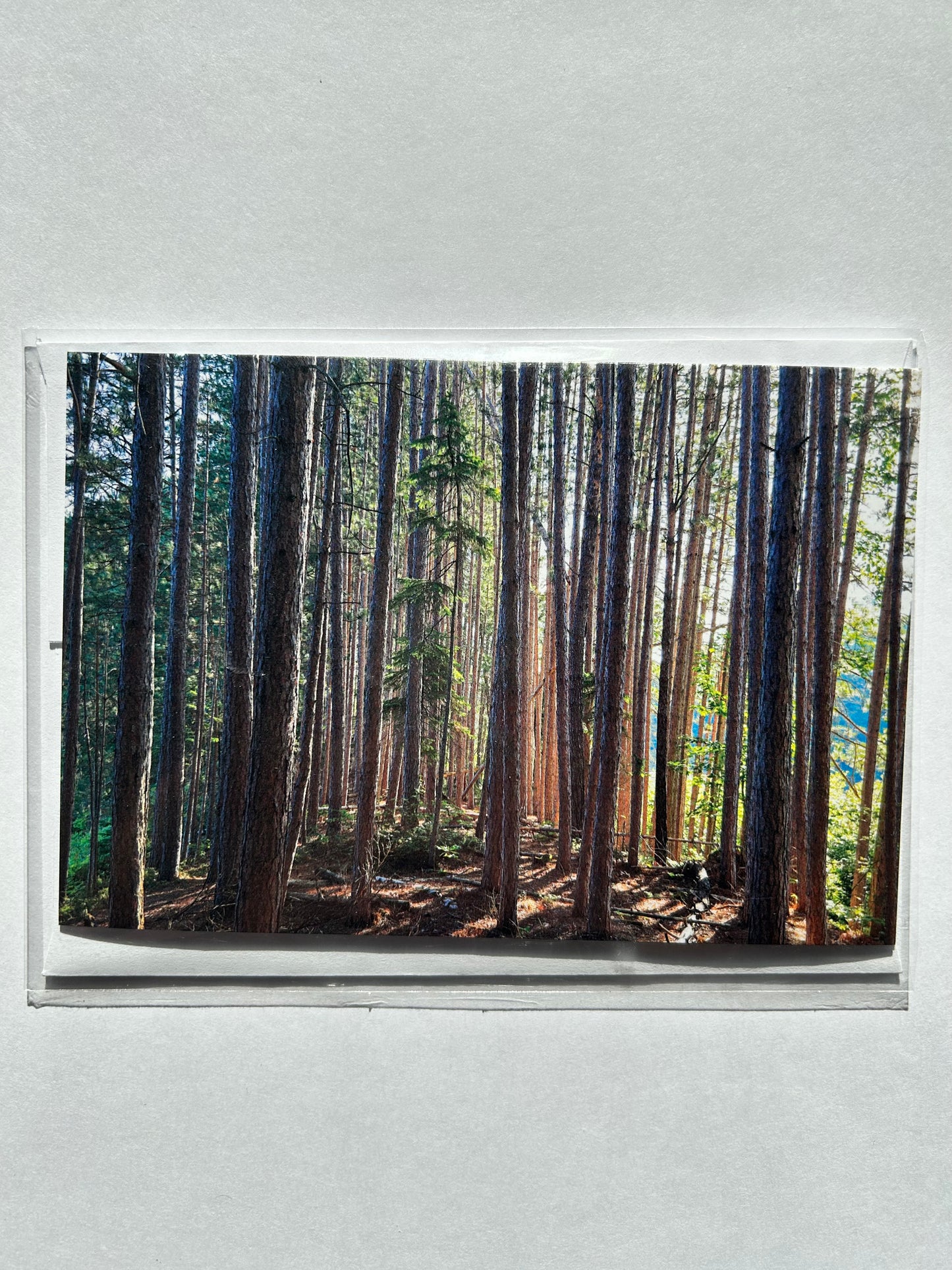 John Yates Card