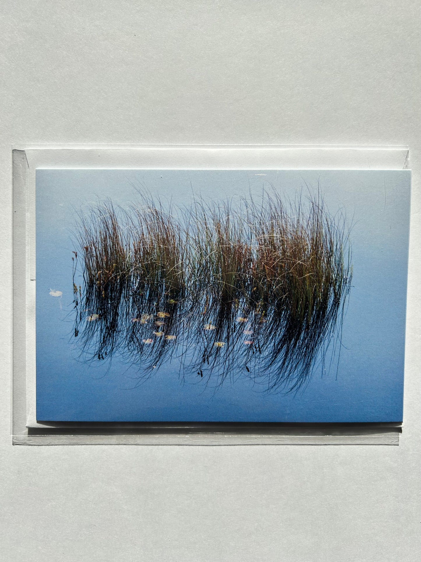 John Yates Card