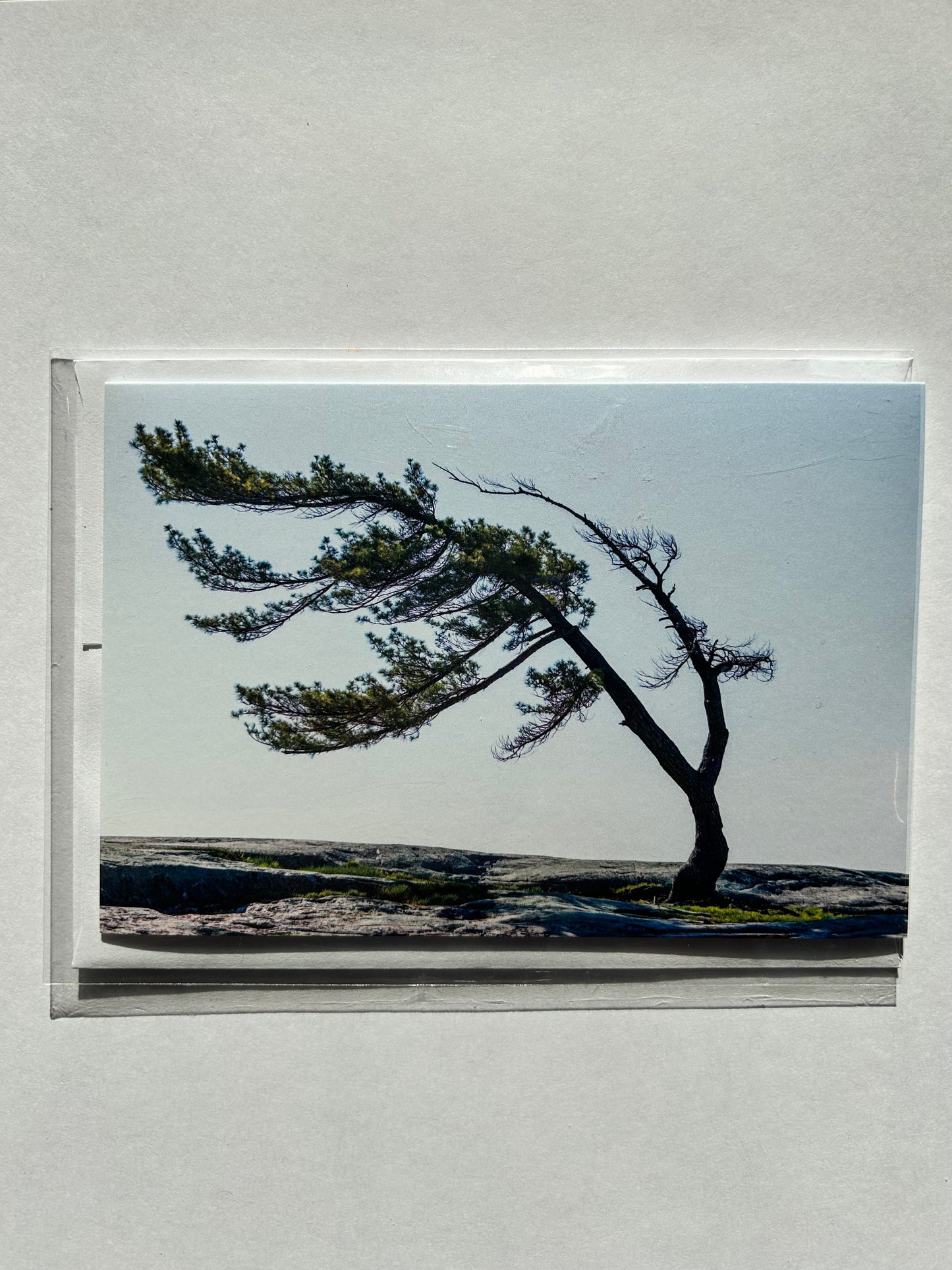 John Yates Card