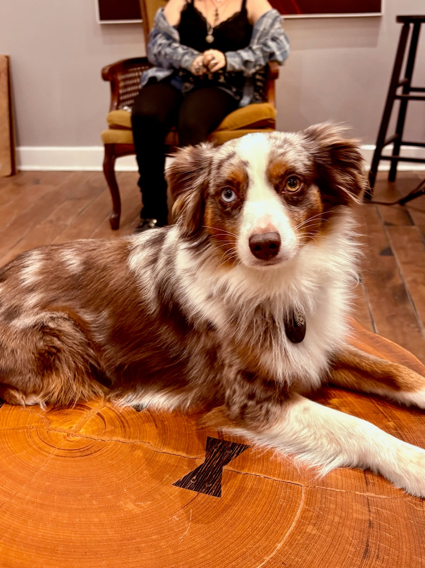 MA&C Portrait Drawing Session