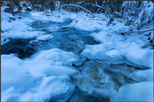 Algonquin Winter