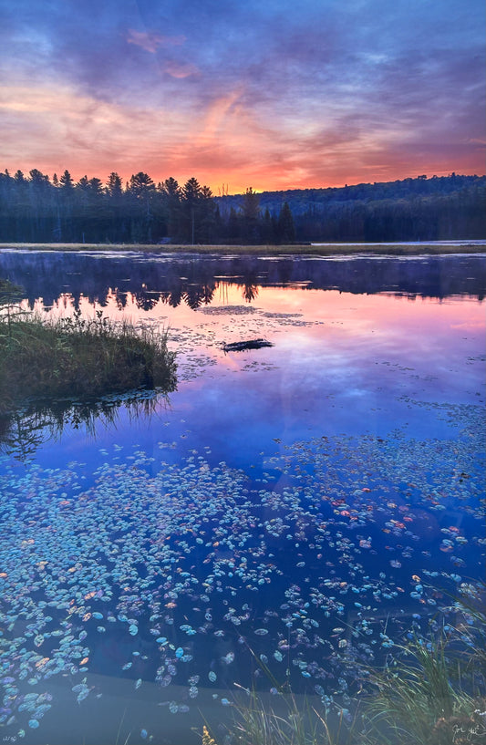 Blue Dawn