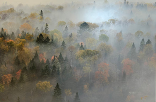 Hidden By Fog