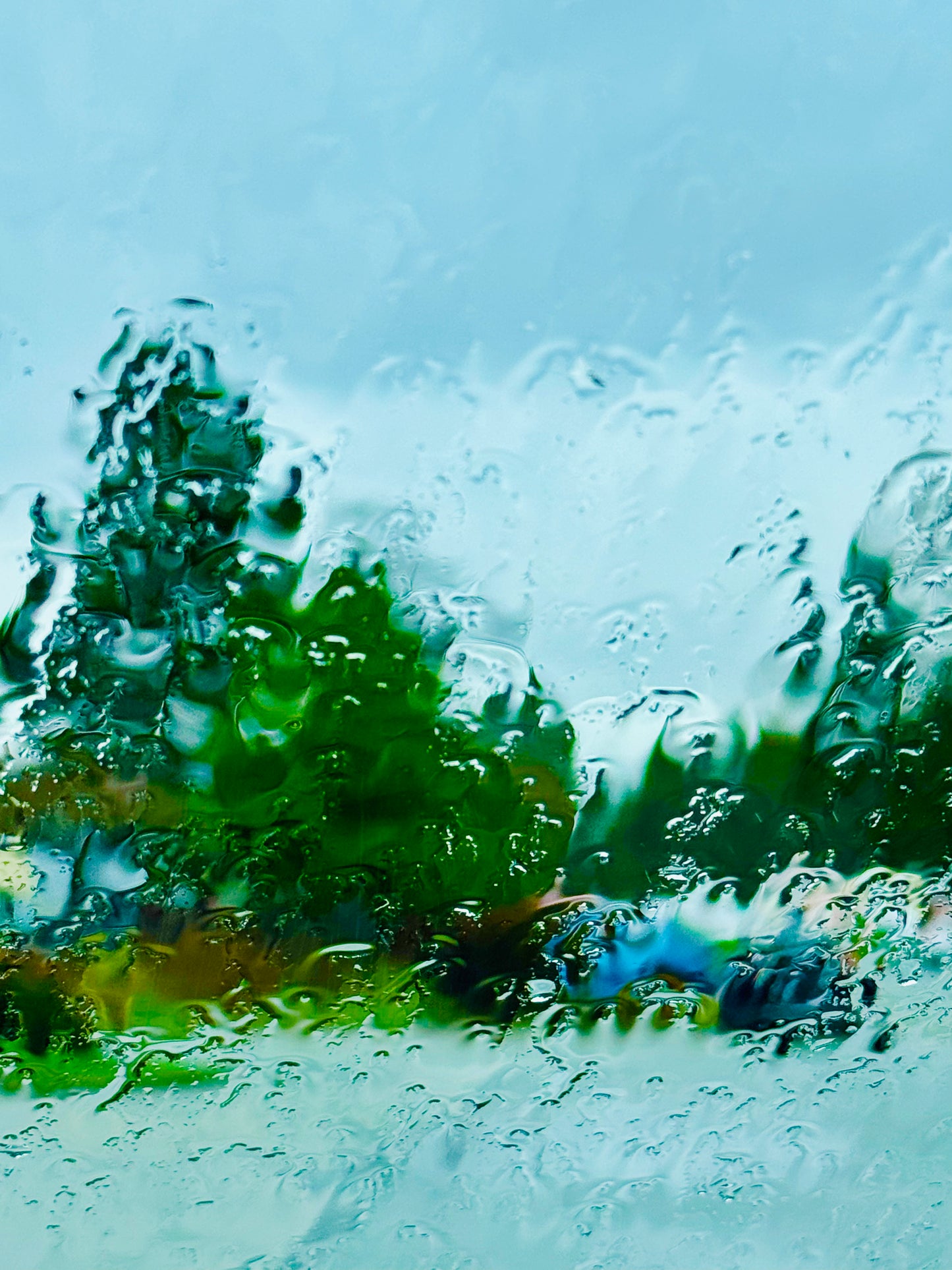 Liquid sunshine #1
