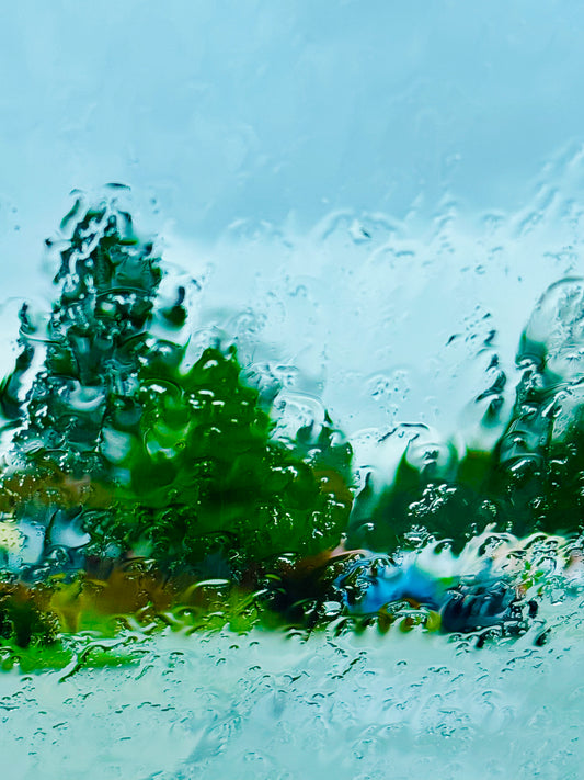 Liquid sunshine #1
