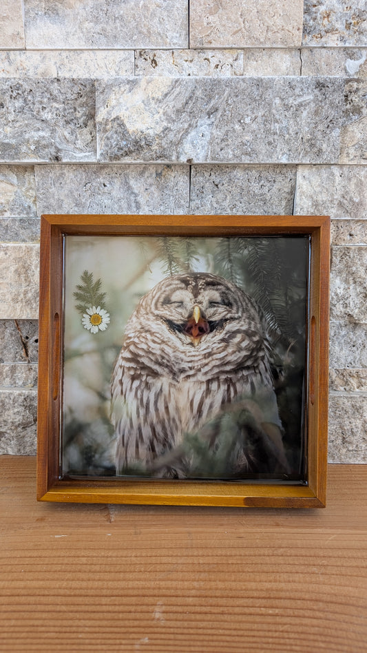 Laughing Owl (With Flower)