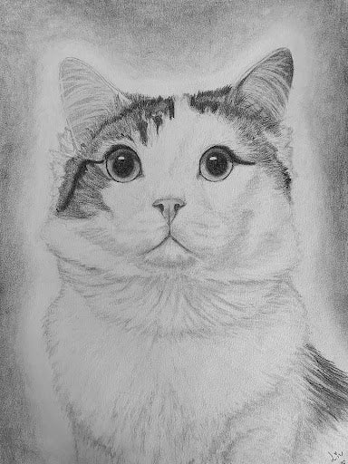 Light in the Darkness