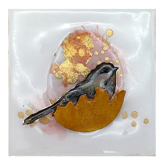 Life Ship - Boreal Chickadee