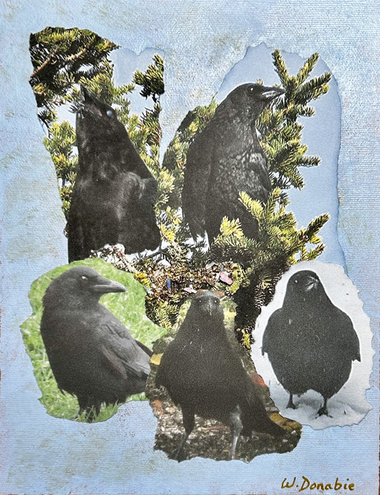 Lots to Crow About in Every Season