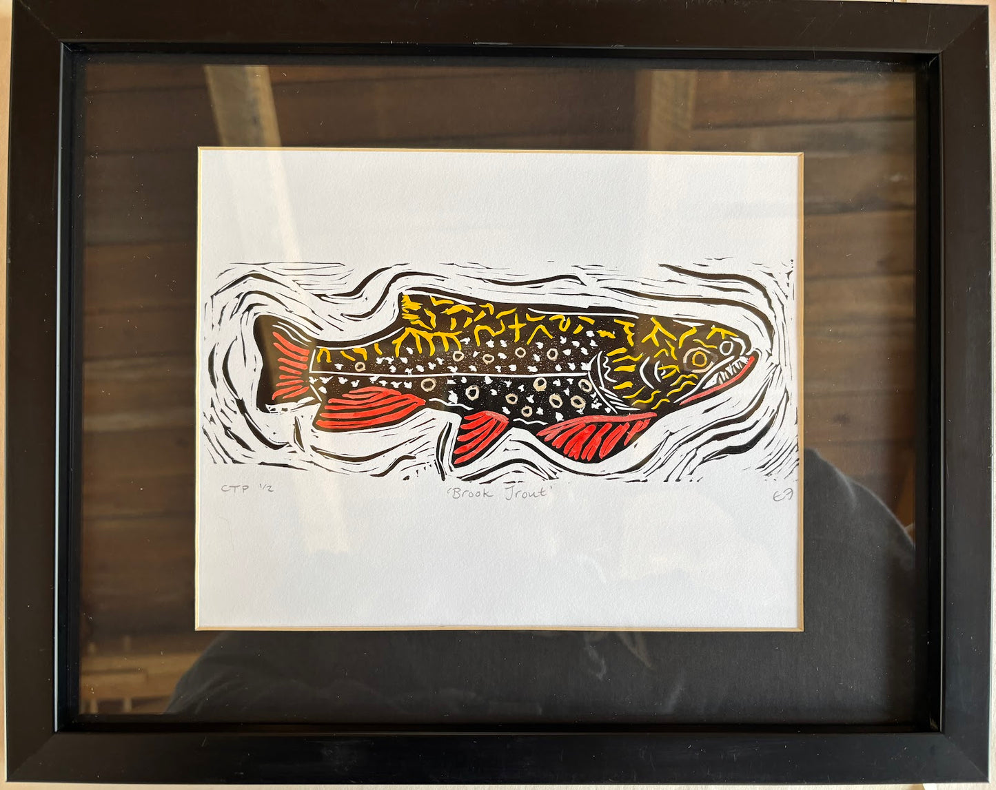 Male Brook Trout
