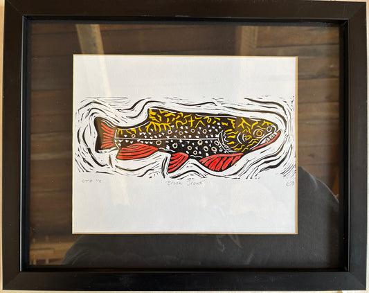 Male Brook Trout