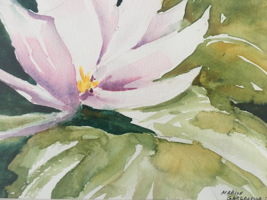 Water Lily on the Styx