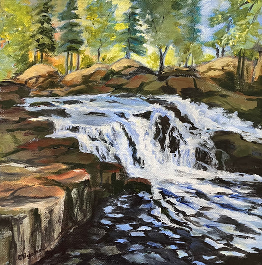 Marshe's Falls Dwight