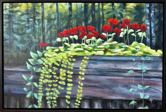 George's Geraniums