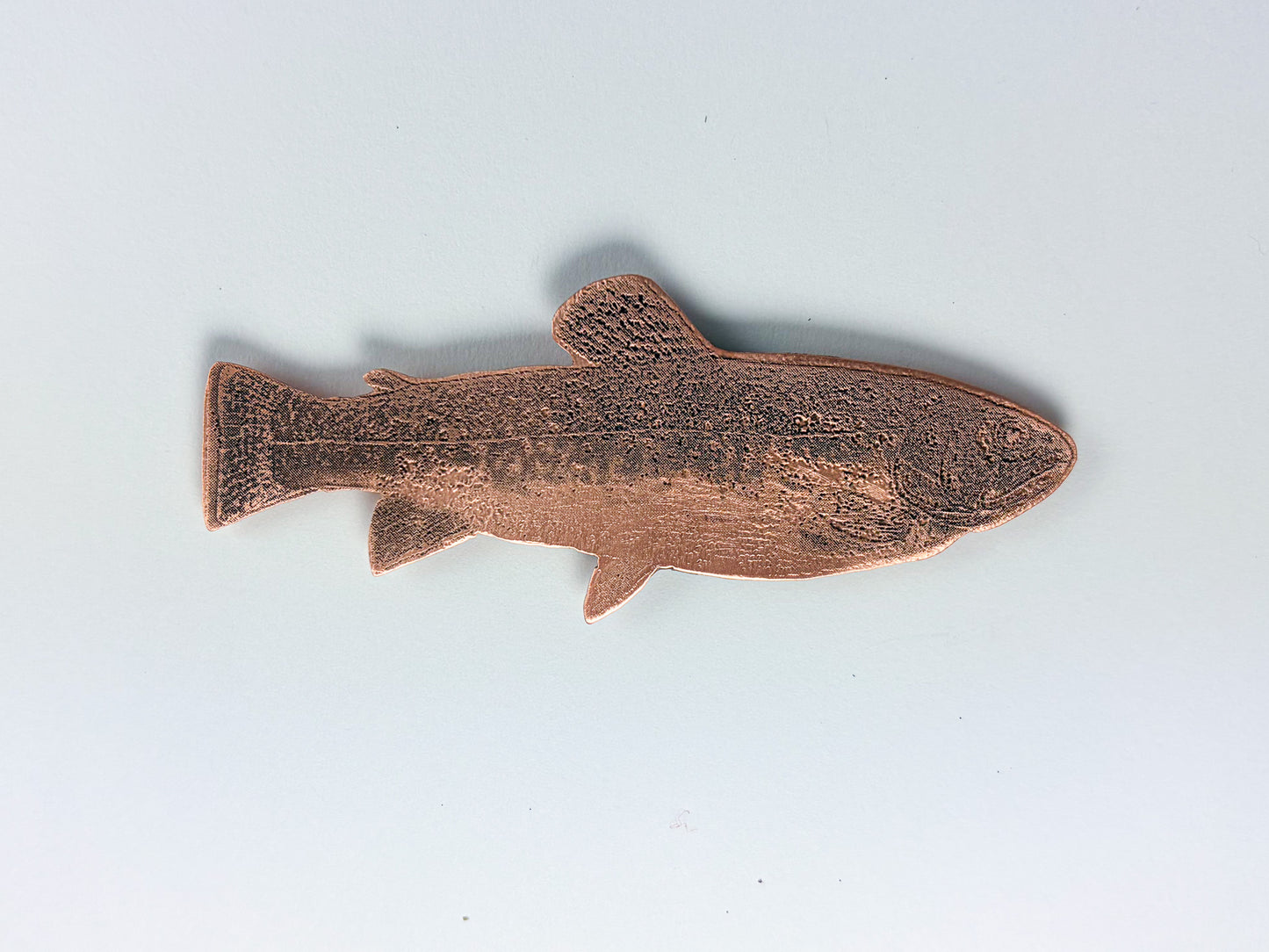 Brook Trout Magnet
